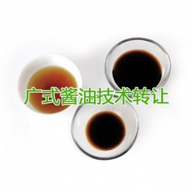 廣式醬油技術(shù)轉(zhuǎn)讓